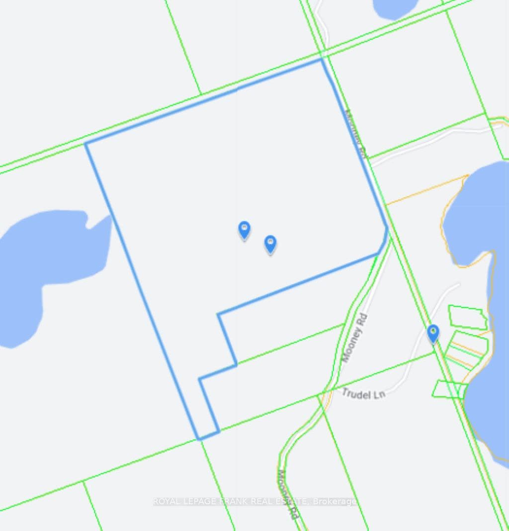 Parcel map showing the 141-acre property boundary along Mooney Road